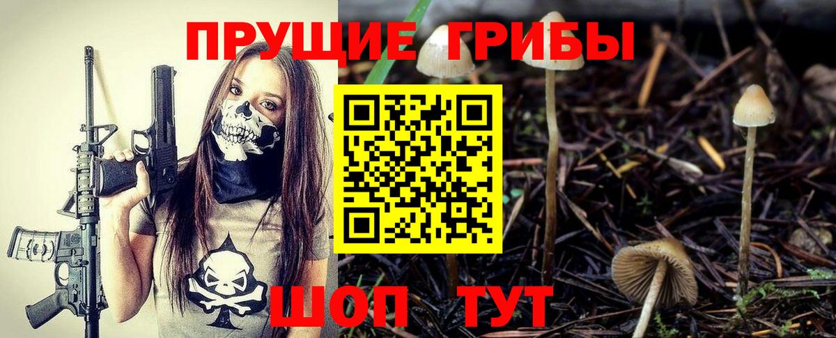 Галлюциногенные грибы Psilocybine cubensis  Псилоцибиновые грибы Psilocybe  Вход с VPN  Химки 